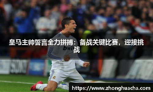 yy易游