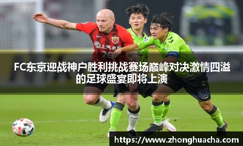 易游体育