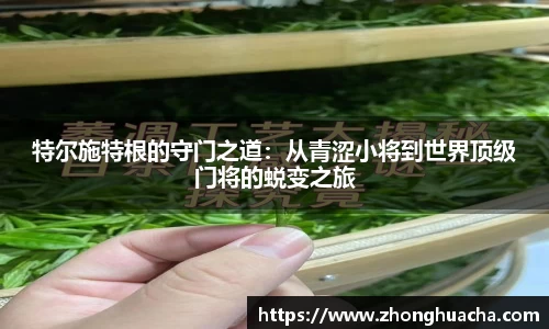米乐YY易游