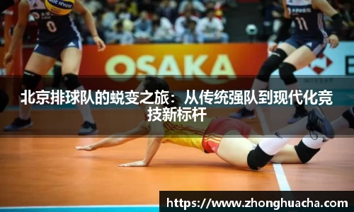 北京排球队的蜕变之旅：从传统强队到现代化竞技新标杆